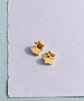 Double Star Pierced Earrings