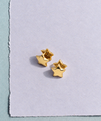 Double Star Pierced Earrings