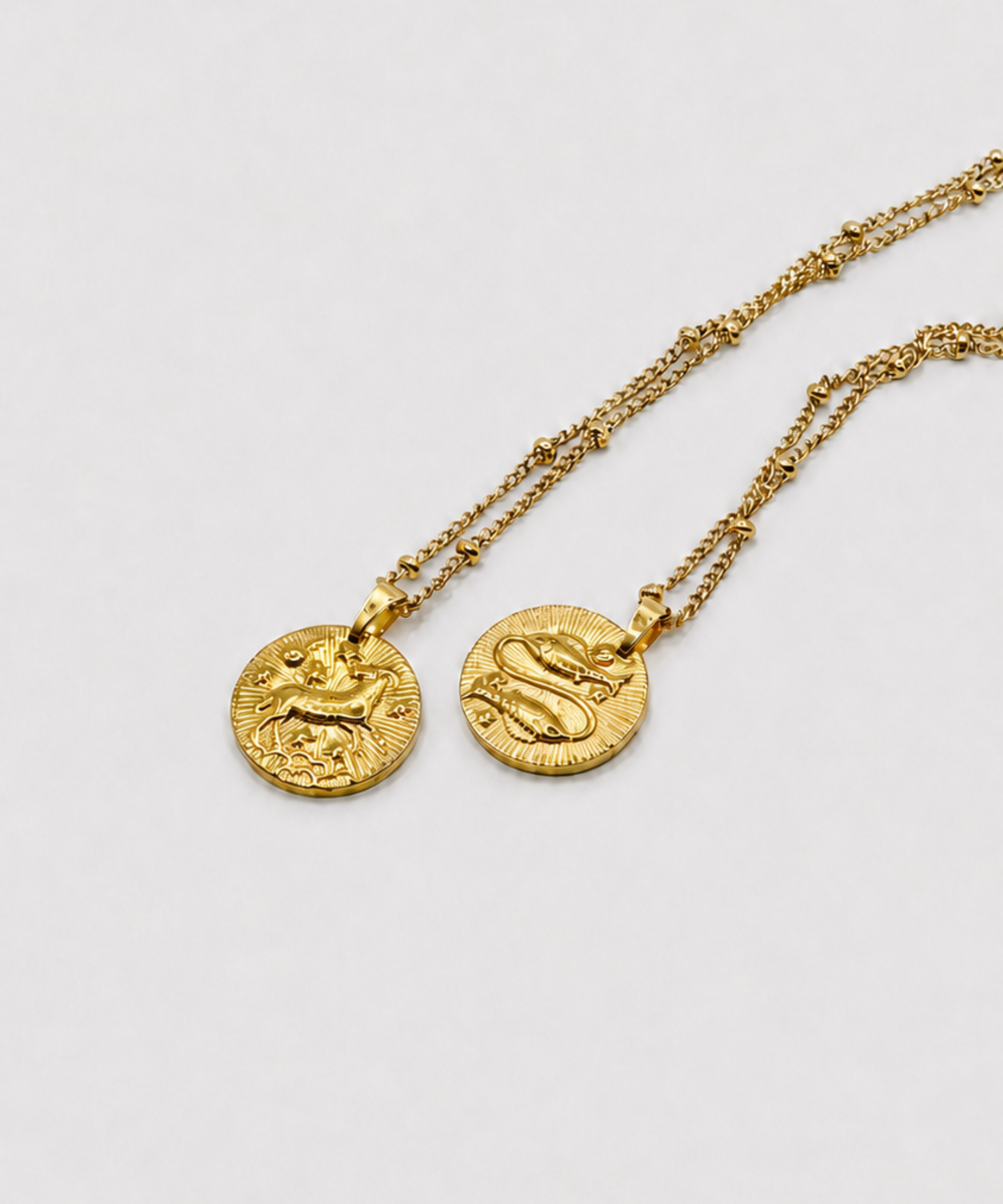 Zodiac Coin Necklace/Pisces