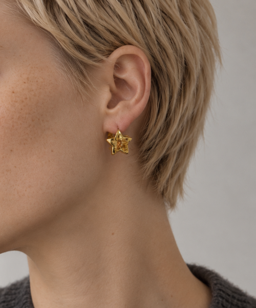 Double Star Pierced Earrings