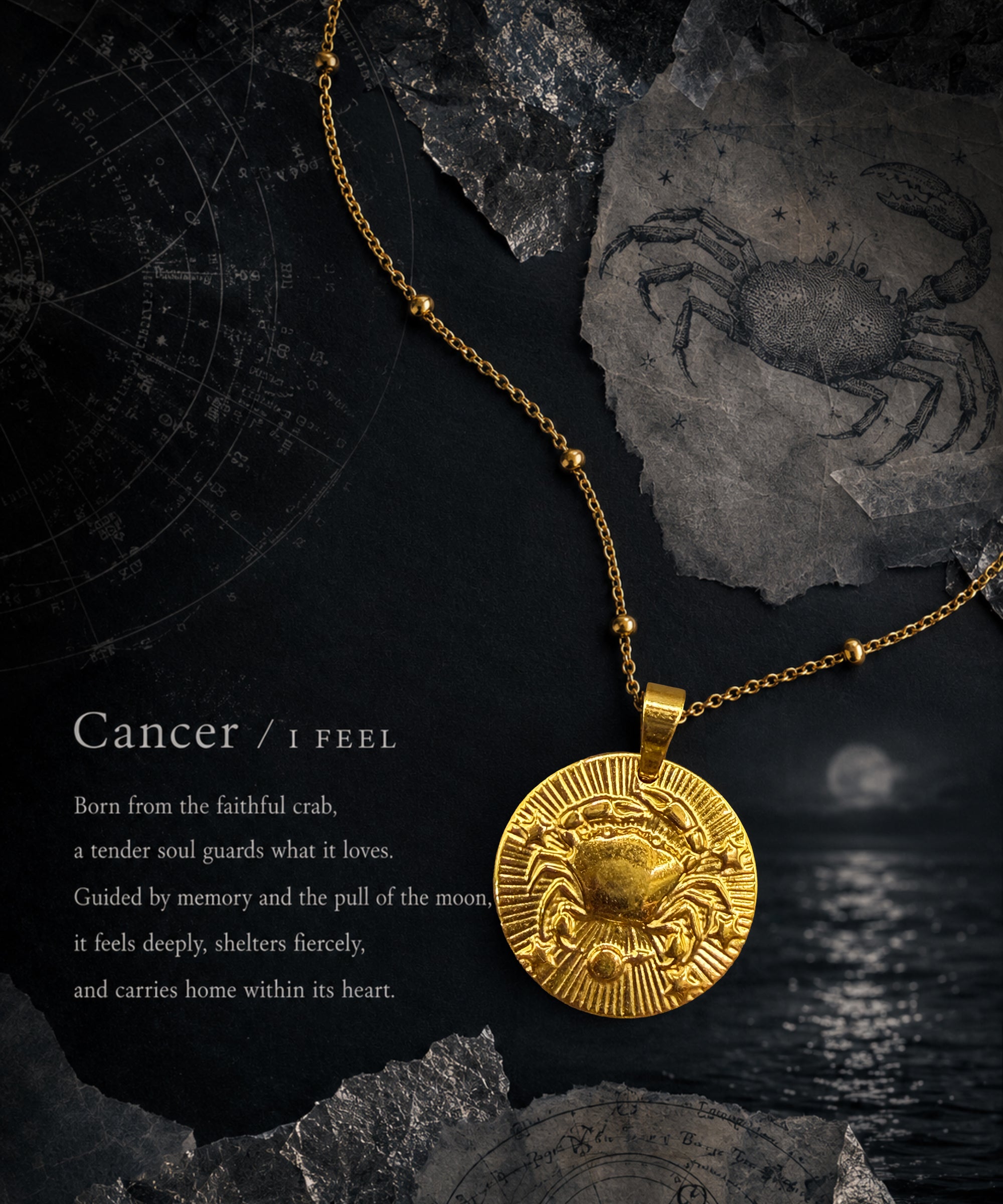 Zodiac Coin Necklace/Cancer/蟹座